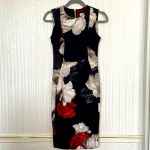 Calvin Klein Size 2 Sleeveless Dress